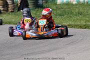 20110501_ales_agnus (1987)